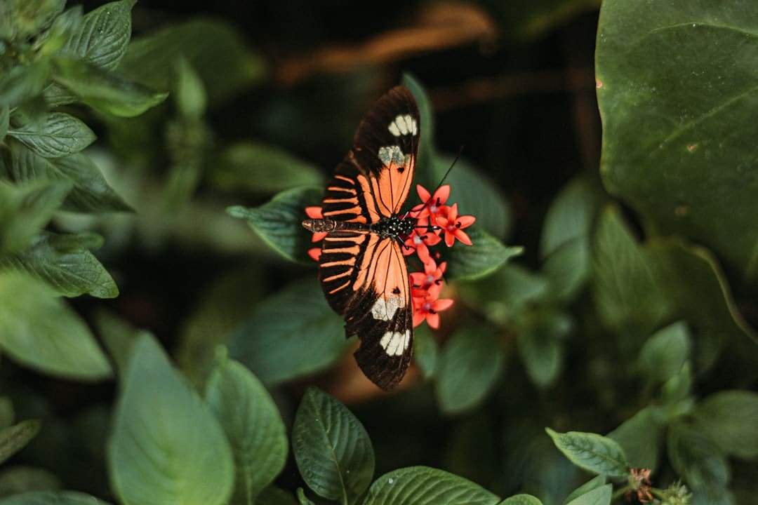 http://n.sinaimg.cn/news/transform/w600h400/20180315/gdl6-fyscsmw1353104.jpg?zdy